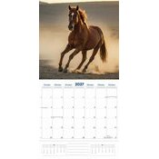 Calendrier 2027 Amoureux des Chevaux Calendrier 2027 Amoureux des Chevaux