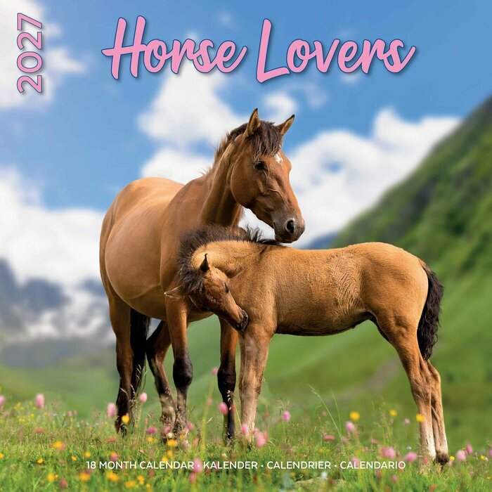 Calendrier 2027 Amoureux des Chevaux Calendrier Mural 2027 Amoureux des Chevaux