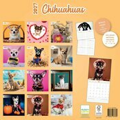 Calendrier 2027 Chihuahua Fun Studio Calendrier Papier 2027 Chihuahua Fun Studio