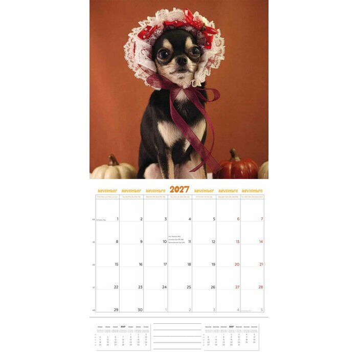 Calendrier 2027 Chihuahua Fun Studio Calendrier 2027 Chihuahua Fun Studio