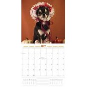 Calendrier 2027 Chihuahua Fun Studio Calendrier 2027 Chihuahua Fun Studio