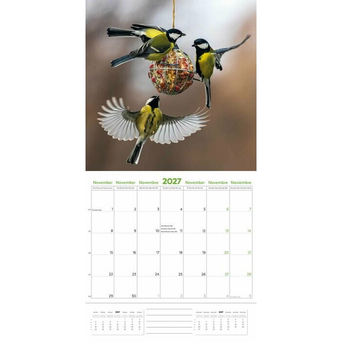 Calendrier 2027 Oiseaux du Jardin Nature Calendrier 2027 Oiseaux du Jardin Nature