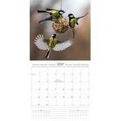 Calendrier 2027 Oiseaux du Jardin Nature Calendrier 2027 Oiseaux du Jardin Nature
