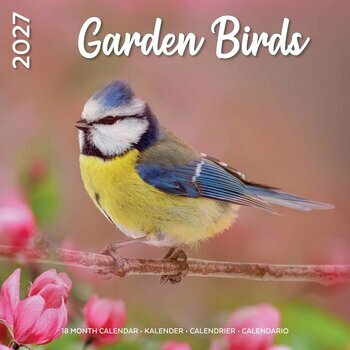 Calendrier 2027 Oiseaux du Jardin Nature