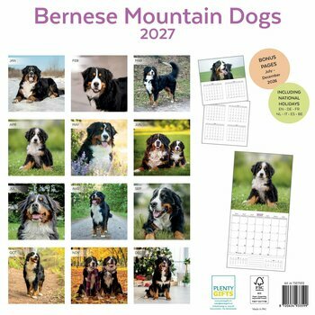Calendrier 2027 Race Bouvier Bernois
