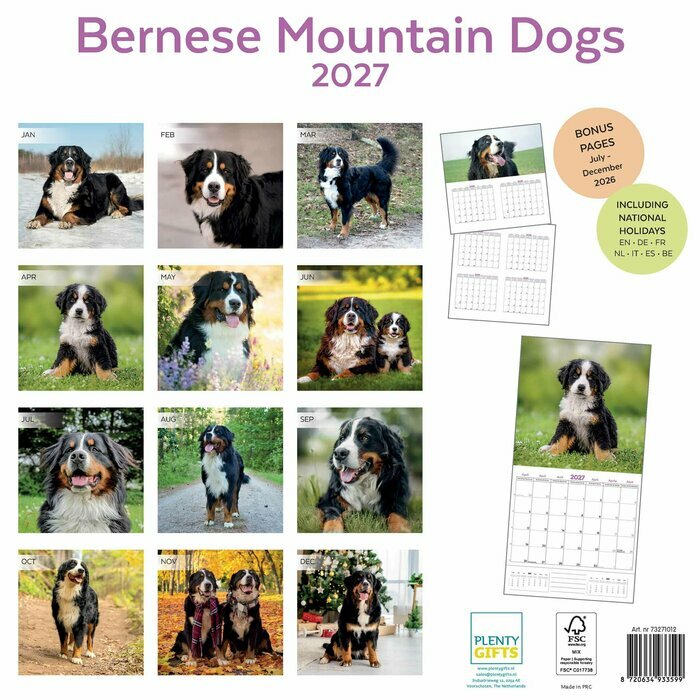 Calendrier Papier 2027 Race Bouvier Bernois