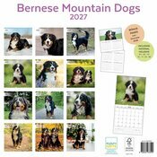 Calendrier Papier 2027 Race Bouvier Bernois