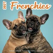 Calendrier Mural 2027  Bouledogue Fran�ais Fun Studio