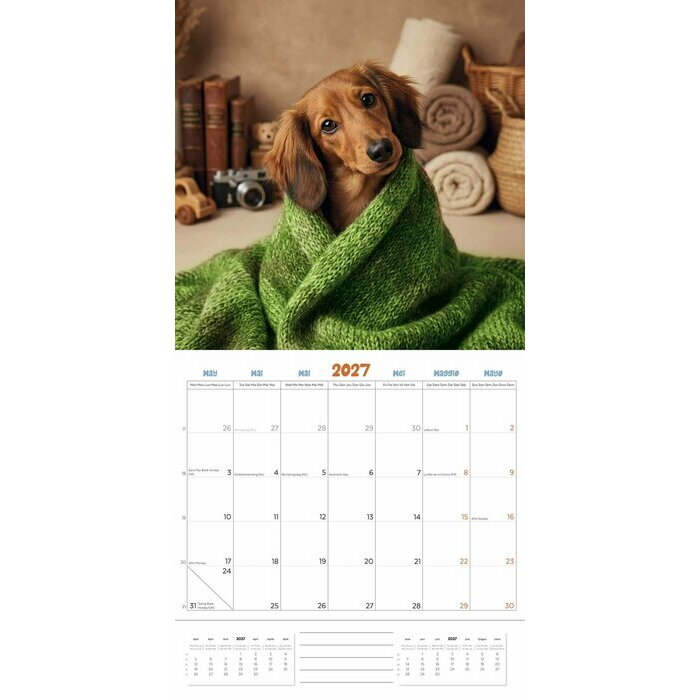 Calendrier 2027 Teckels Fun Studio Calendrier 2027 Teckels Fun Studio