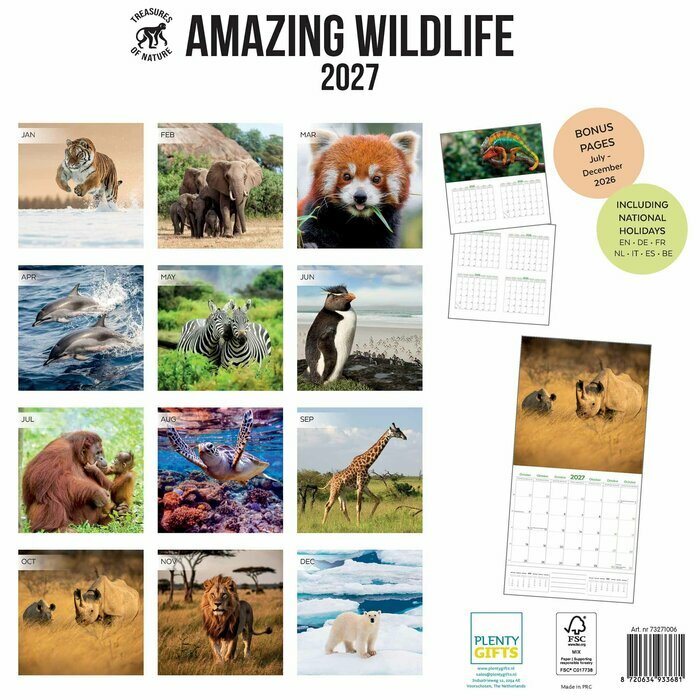 Calendrier Papier 2027 Animaux Etonnants WWF