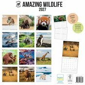 Calendrier Papier 2027 Animaux Etonnants WWF