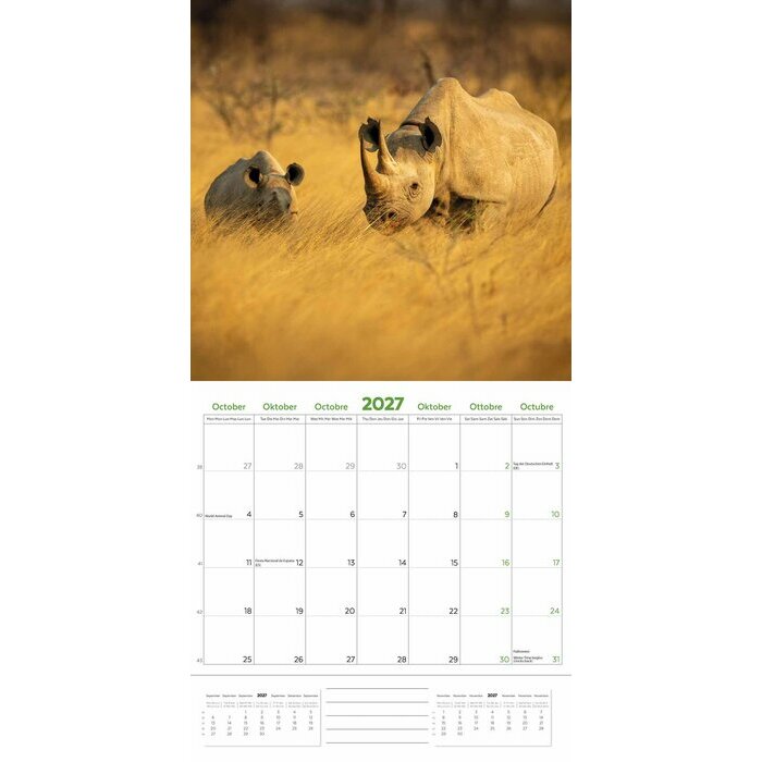Calendrier 2027 Animaux Etonnants WWF