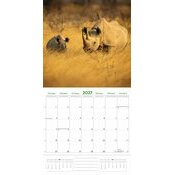Calendrier 2027 Animaux Etonnants WWF