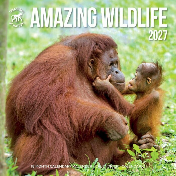 Calendrier Mural 2027 Animaux Etonnants WWF