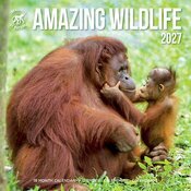 Calendrier Mural 2027 Animaux Etonnants WWF