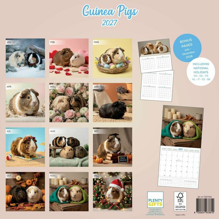Calendrier Papier 2027 Cochon d'Inde Fun Studio
