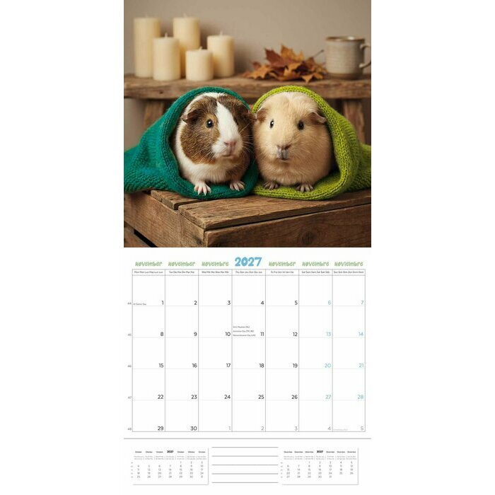 Calendrier 2027 Cochon d'Inde Fun Studio