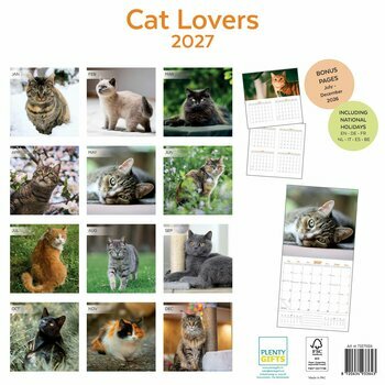 Calendrier 2027 Amour des Chats Passion 