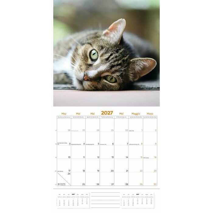 Calendrier 2027 Amour des Chats Passion Calendrier 2027 Amour des Chats Passion