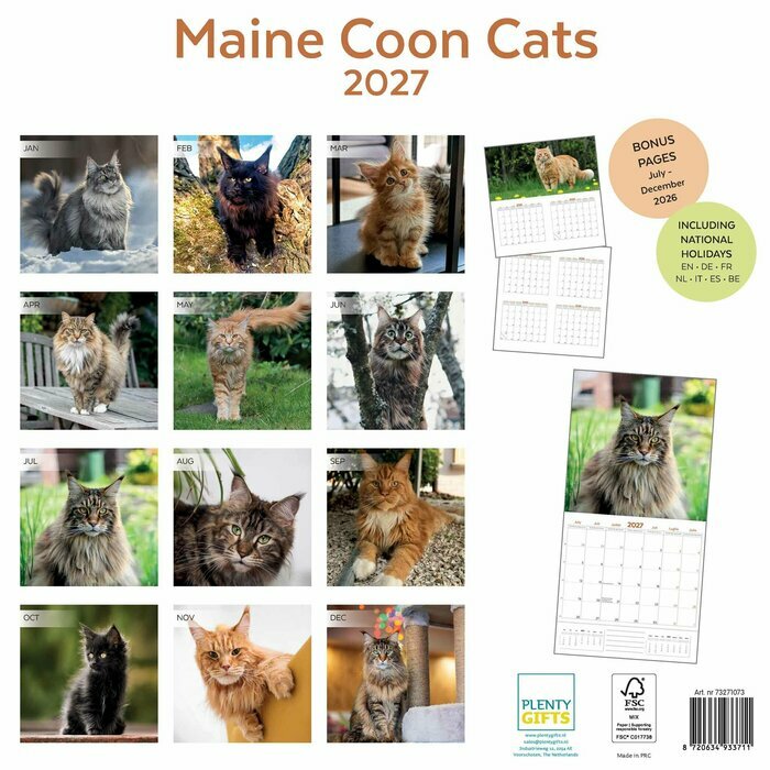 Calendrier 2027 Maine Coon Chats de Race Calendrier papier 2027 Maine Coon Chats de Race