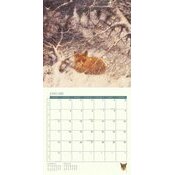 Calendrier 2027 Rien Poortvliet Nature Animaux Chasse