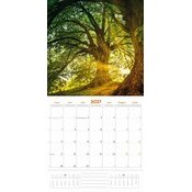 Calendrier 2027 Forêt et Nature Calendrier 2027 Forêt et Nature