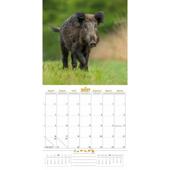 Calendrier 2027 Animaux de la Forêt Calendrier 2027 Animaux de la Forêt