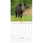 Calendrier 2027 Animaux de la Forêt Calendrier 2027 Animaux de la Forêt