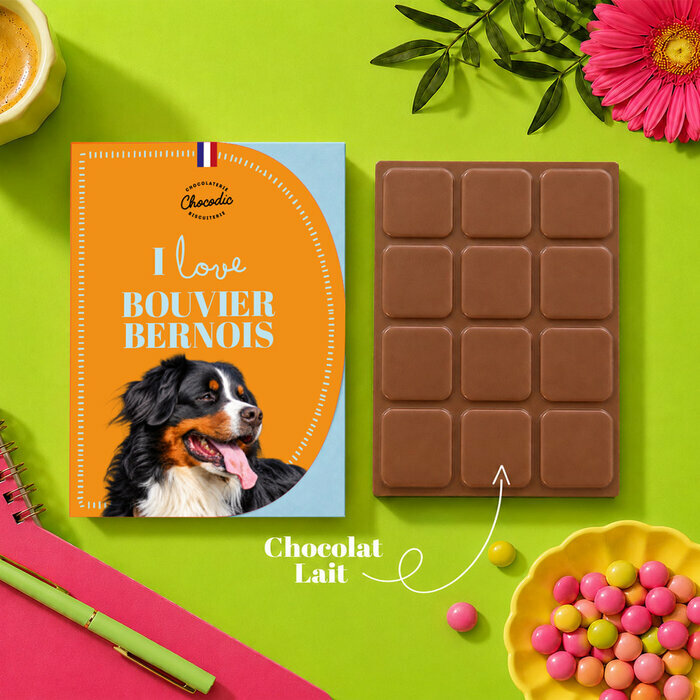 Tablette Chocolat Bouvier Bernois Chocolat au Lait Artisanal Idée Cadeau Chien tablette chocolat Bouvier Bernois