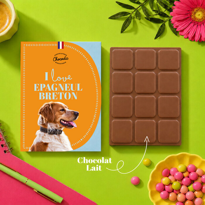 Tablette Chocolat Epagneul Breton Chocolat au Lait Artisanal Idée Cadeau Chien tablette chocolat Epagneul Breton