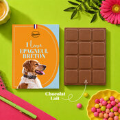 Tablette Chocolat Epagneul Breton Chocolat au Lait Artisanal Idée Cadeau Chien tablette chocolat Epagneul Breton