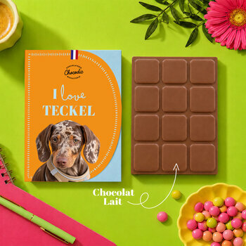 Tablette Chocolat Teckel Poil Lisse Chocolat au Lait Artisanal Id&eacute;e Cadeau Chien