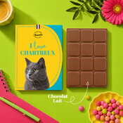 tablette chocolat Chat Chartreux