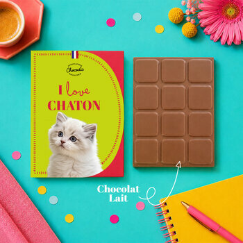 Tablette Chocolat Petit Chaton Chocolat au Lait Artisanal Id&eacute;e Cadeau Chien