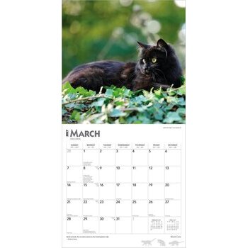 Calendrier 2027 Chats Noirs 