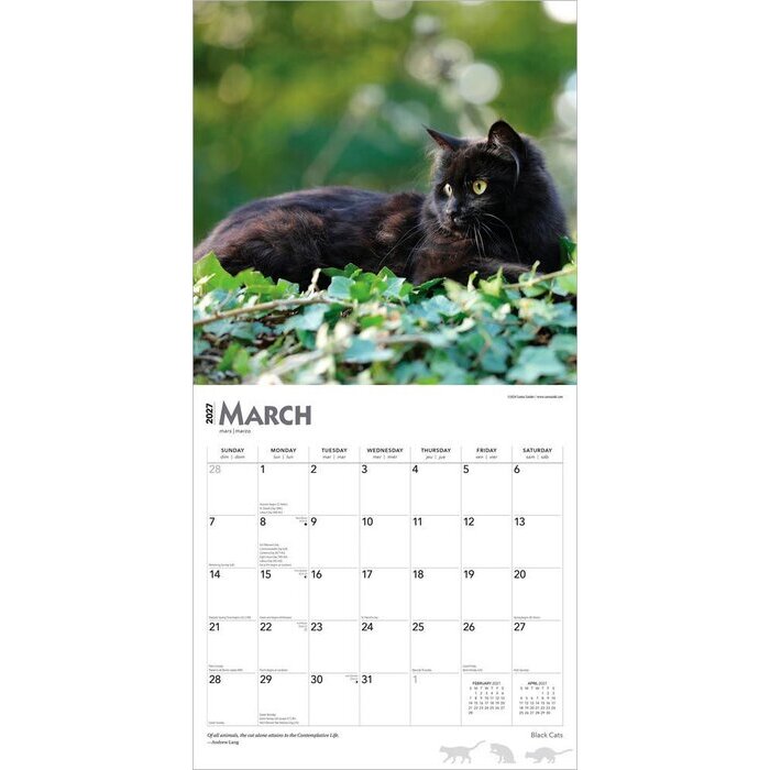 Calendrier 2027 Chats Noirs Calendrier papier 2027 Chats Noirs