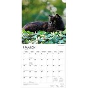 Calendrier 2027 Chats Noirs Calendrier papier 2027 Chats Noirs