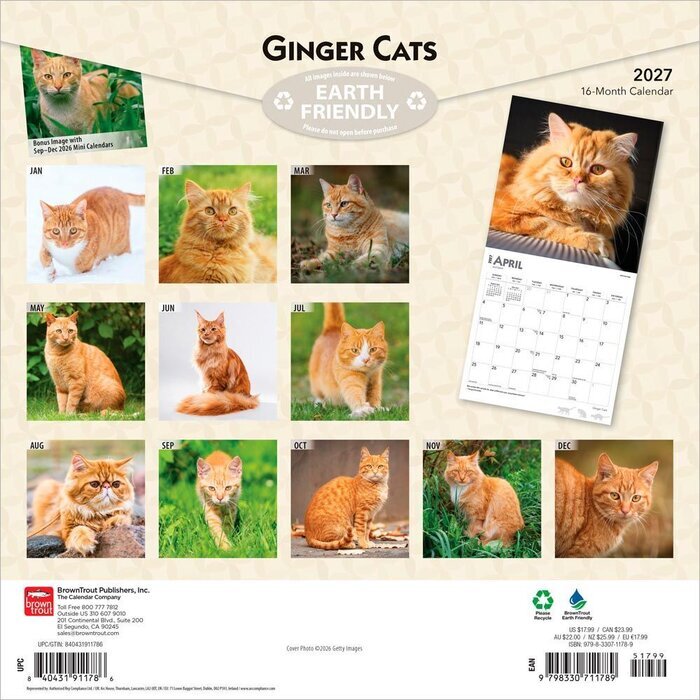 Calendrier 2027 Chats Roux Calendrier papier 2027 Chats Roux