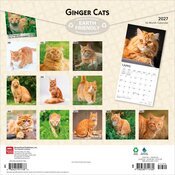 Calendrier 2027 Chats Roux Calendrier papier 2027 Chats Roux