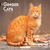 Calendrier 2027 Chats Roux Calendrier Mural 2027 Chats Roux