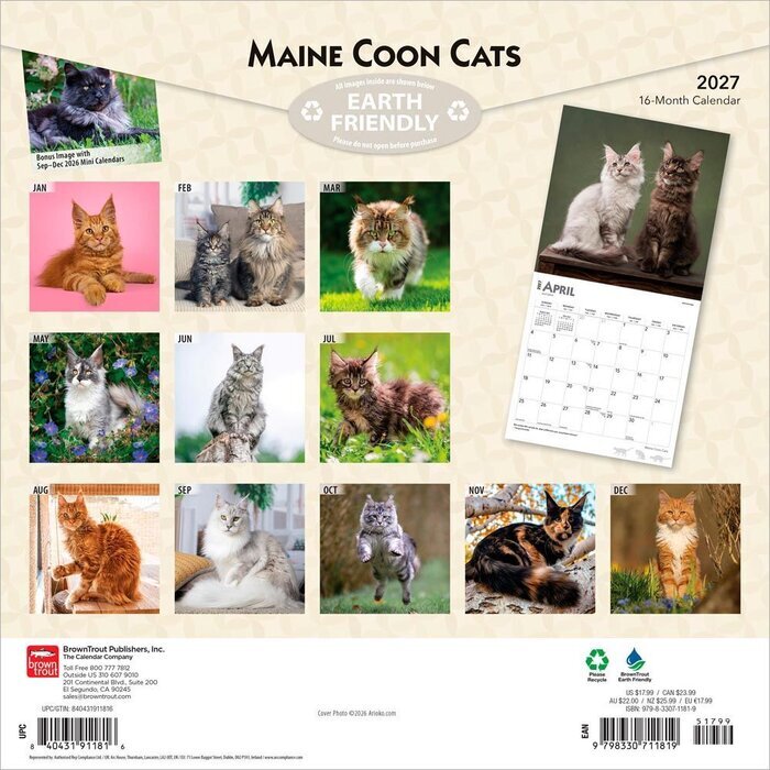 Calendrier papier 2027 Chats Maine Coon